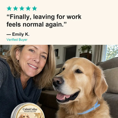 Drug-Free Calming Support for Anxiety, Barking & Stress