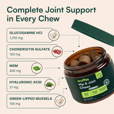FIGHT HIP & JOINT PAIN