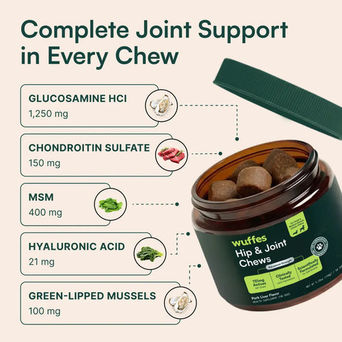 FIGHT HIP & JOINT PAIN